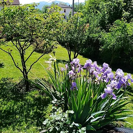 Dolomiti Oregne Maras